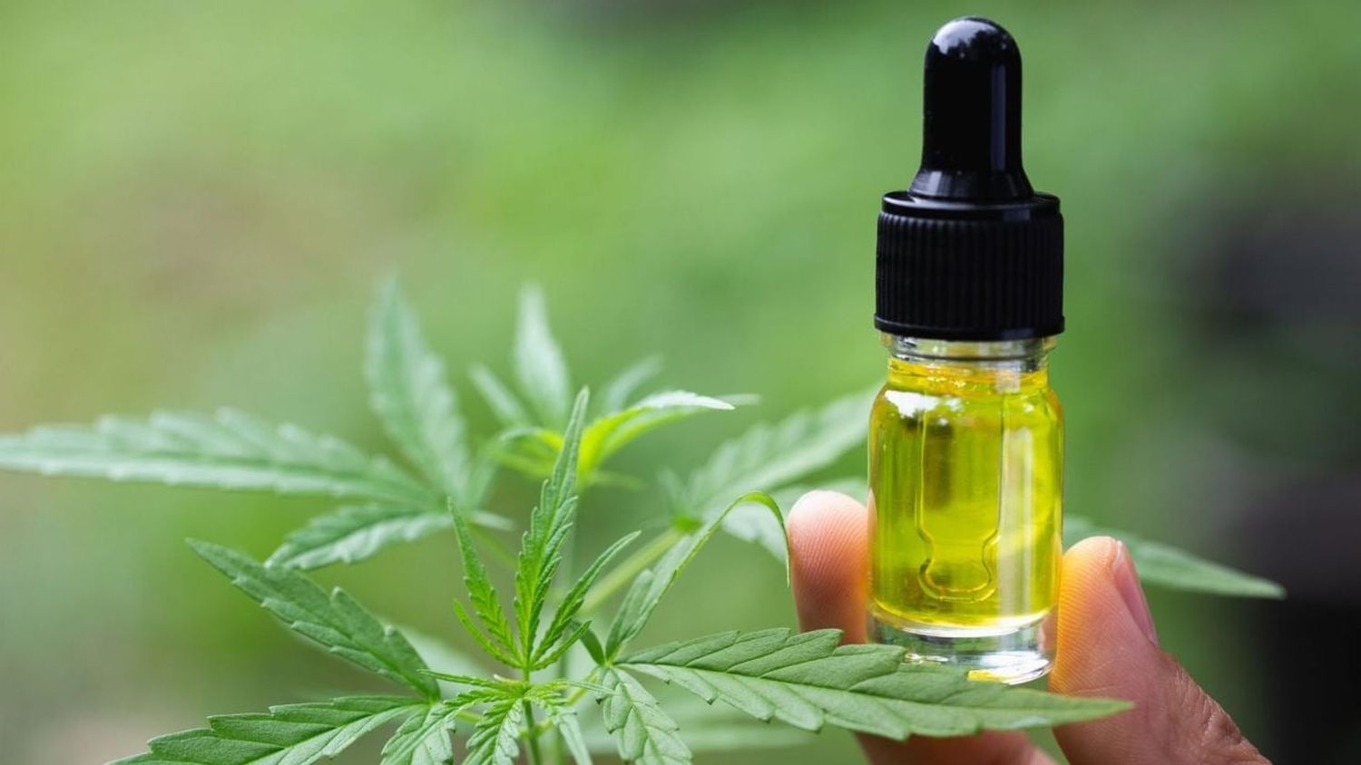 Conoce más acerca del Uso de CBD en el Tratamiento del Dolor Crónico