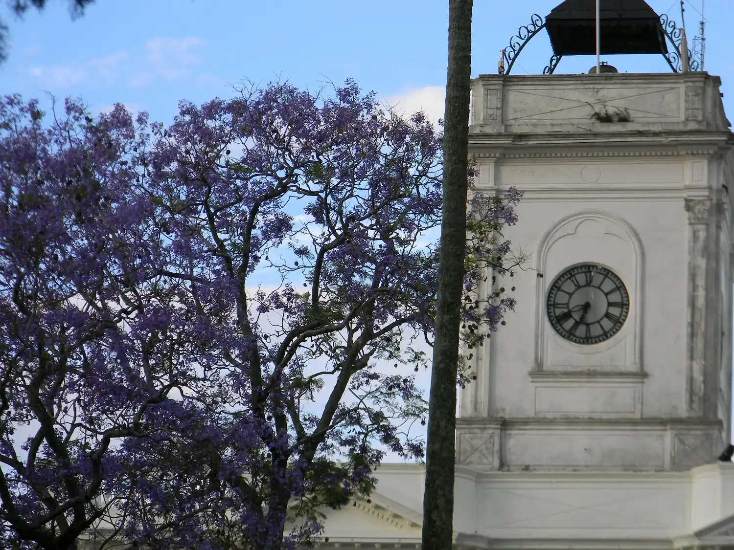 Dengue en Nogoyá: Vecinos piden se declare la emergencia sanitaria ante los más de 150 casos