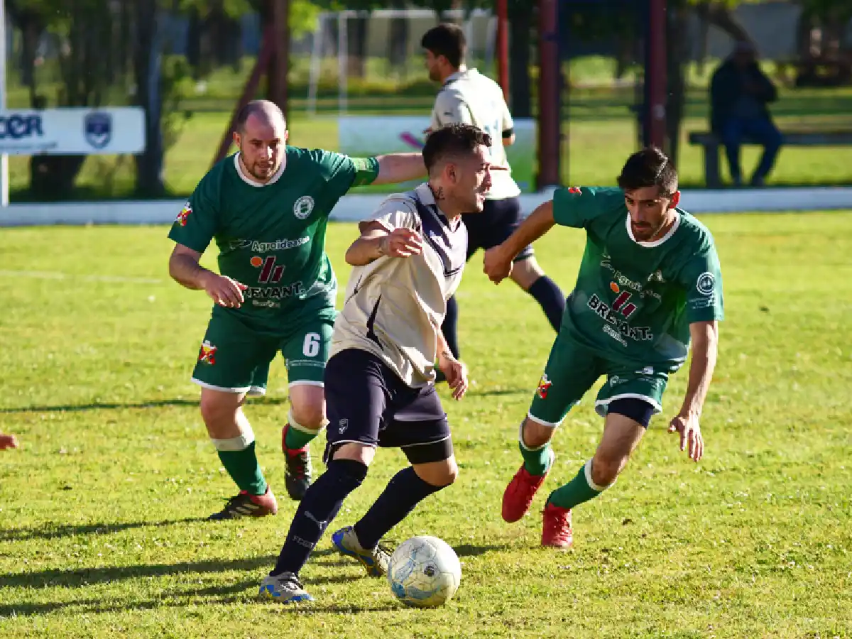 Un proyecto con 6 zonas