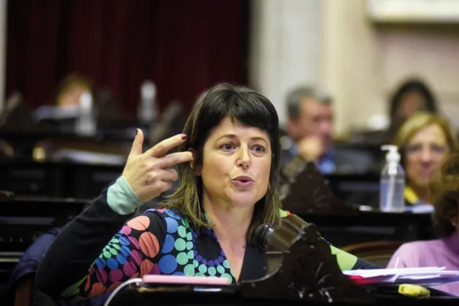 Libertarios piden suspender a la diputada entrerriana Carolina Gaillard