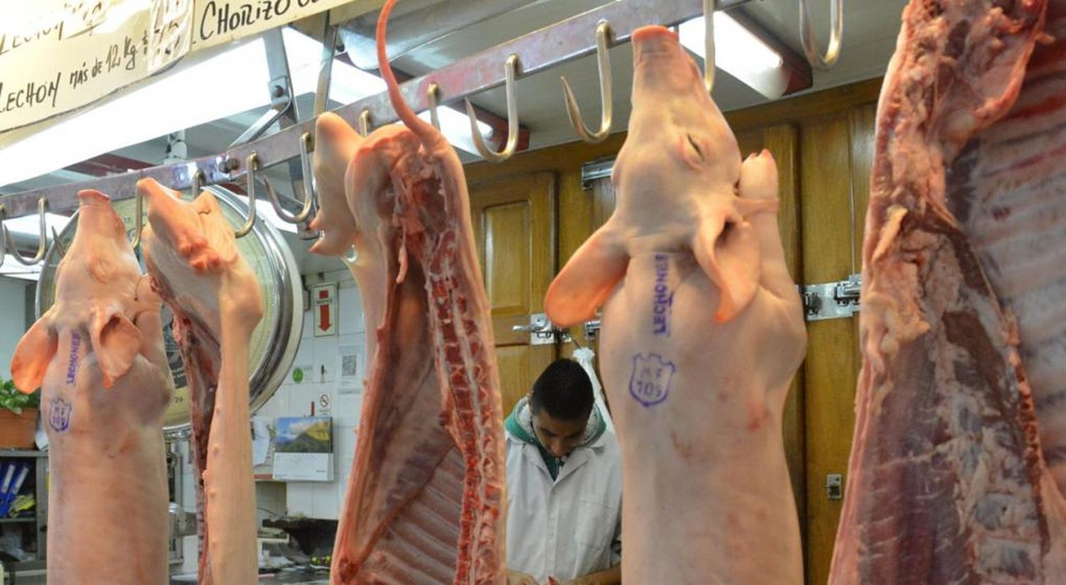 El maíz y los porcinos marcan records en tierras bonaerenses
