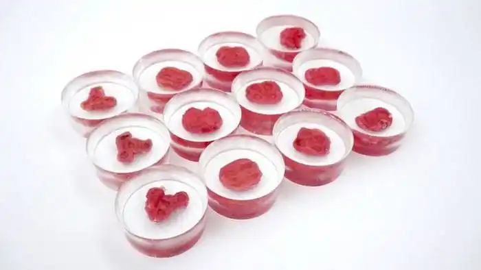 Cultivan en laboratorio  carne humana para consumo