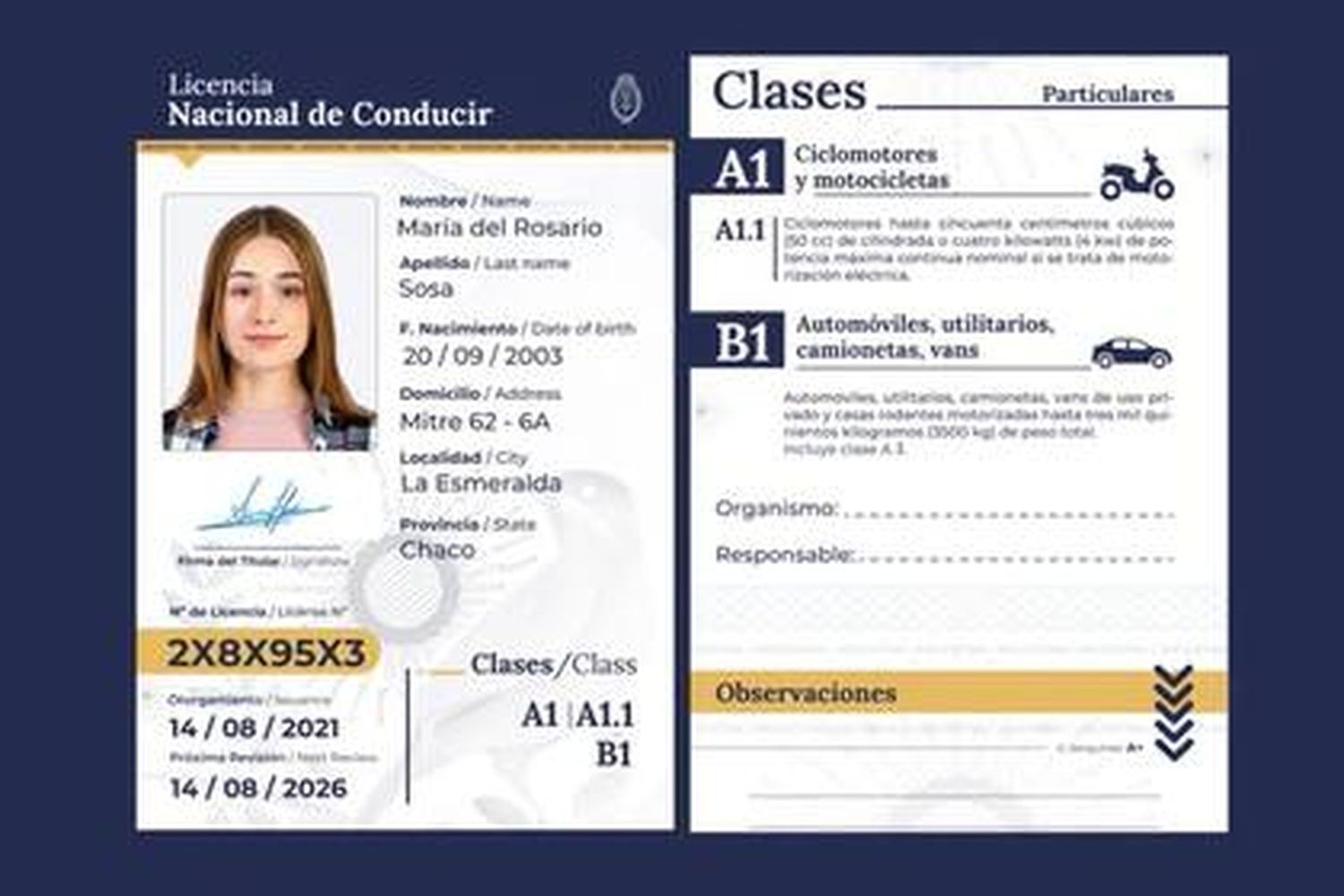 A partir de hoy, se encuentra vigente la nueva Licencia de Conducir Digital en Argentina