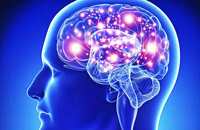 Neurociencia, ¿panacea científica del siglo XXI? 