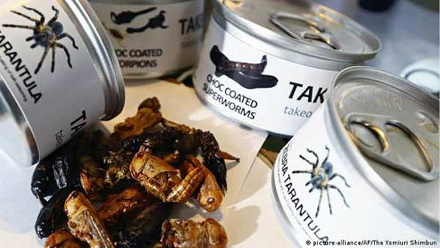 Japón: el auge de los insectos comestibles