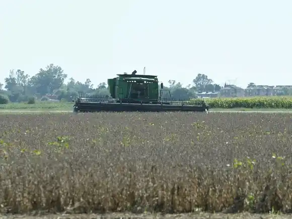 La economía argentina acumula once meses consecutivos de crecimiento