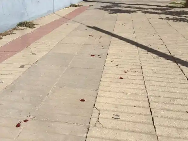 Como Hansel y Gretel, la Policía llegó por el rastro de sangre