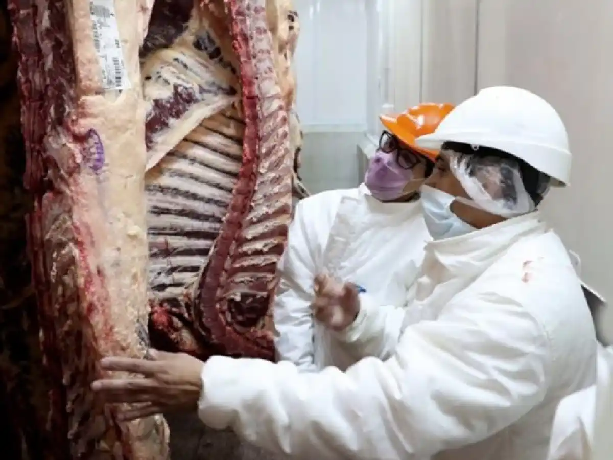 El precio de la carne continuará por debajo de la inflación   