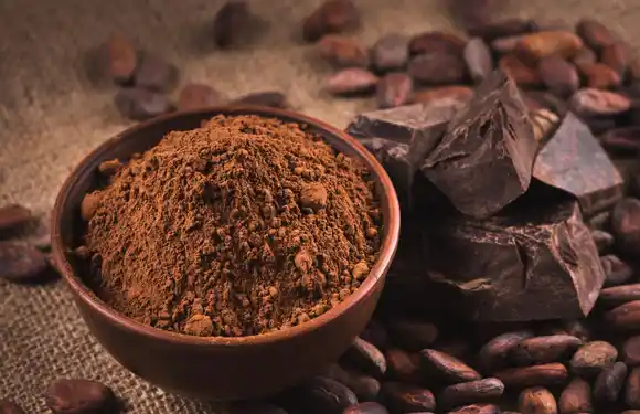 Seguro no conocías los beneficios de consumir cacao puro: mejora la circulación y combate las várices