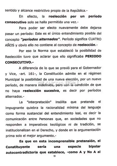 paginas fallo davico - 5