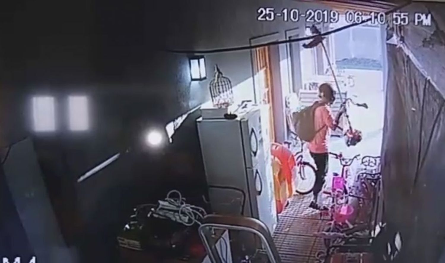 Robó cargadores de batería y una motoguadaña y quedó registrado en las cámaras