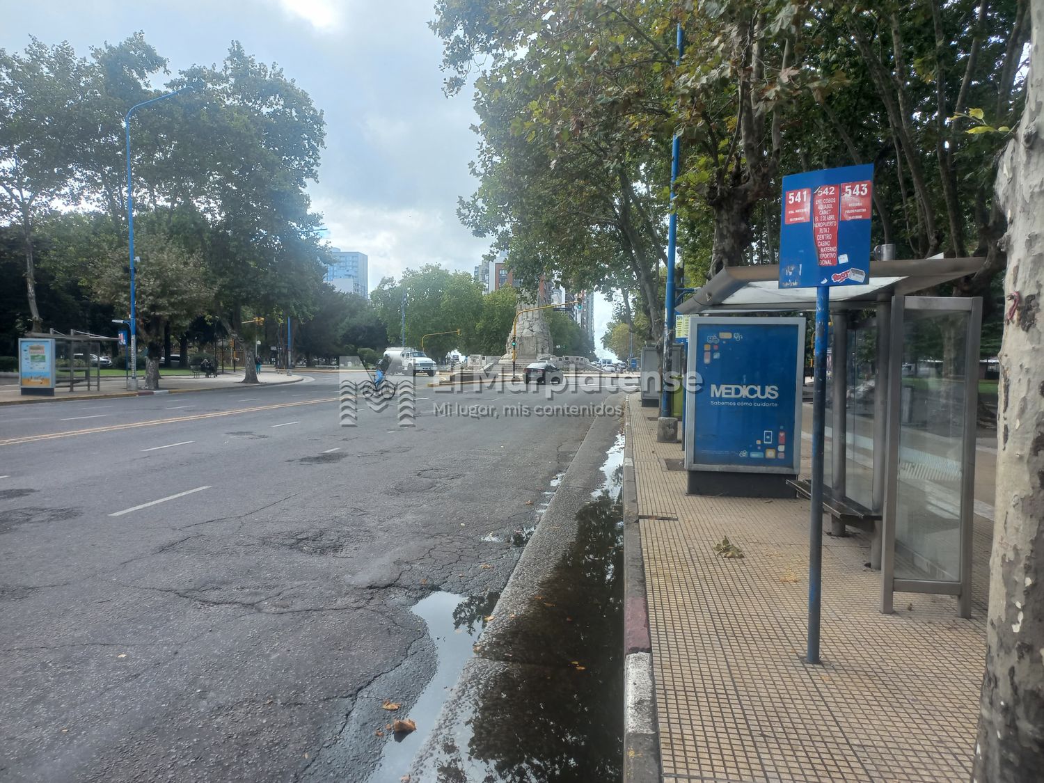 Paro de colectivos: "Esto ya no da para más "