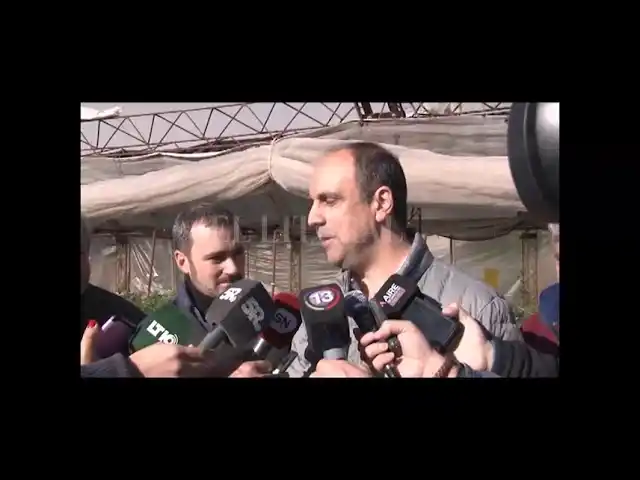 Hidroponia: incentivan este tipo de producción en el cordón verde