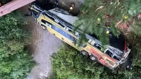 Un micro chocó un auto, cayó a un arroyo y dejó al menos 8 muertos