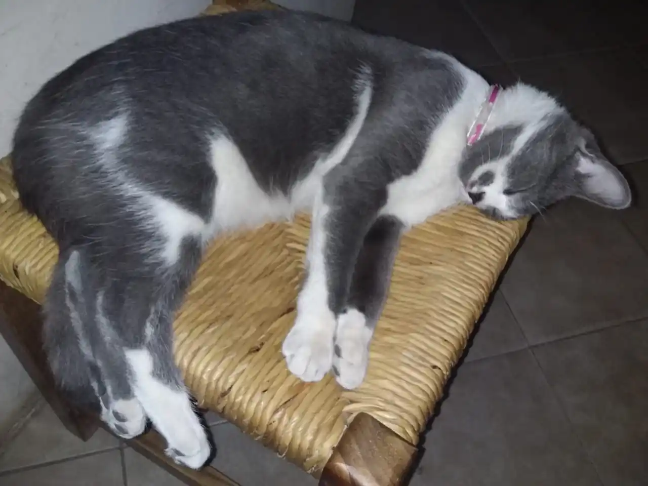 Siguen buscando a Luna