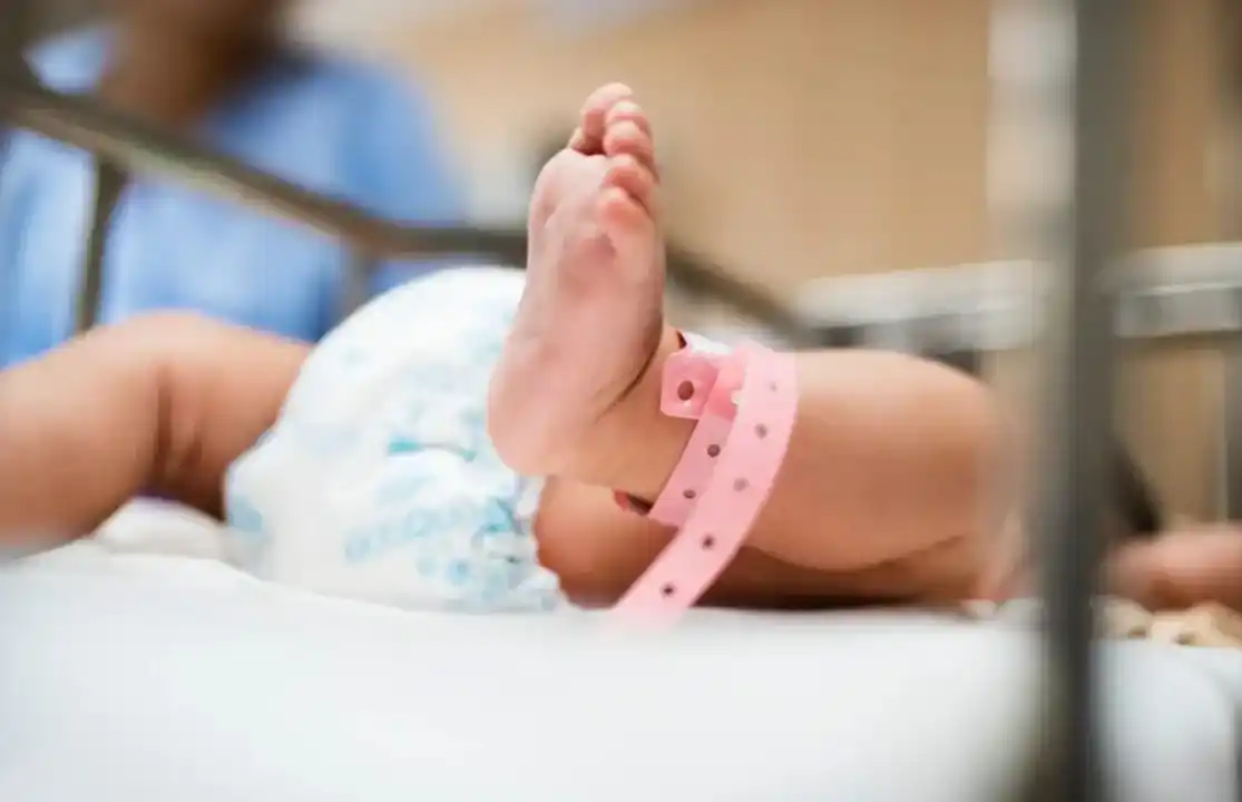 Cayó la natalidad y, entre 2016 y 2025, la población de niños de 3 a 5 años bajó un 31%.