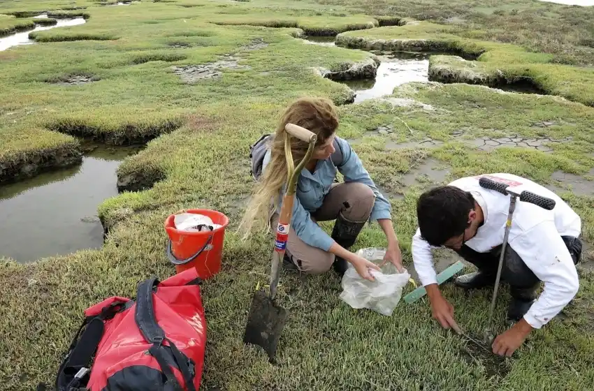 Cambio climático: "Hay cambios que son irreversibles y que tenemos que adaptarnos a ellos"