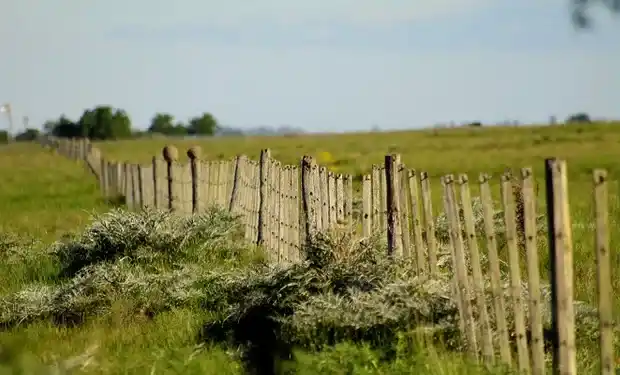 Alambrar el campo es más barato que en 2017