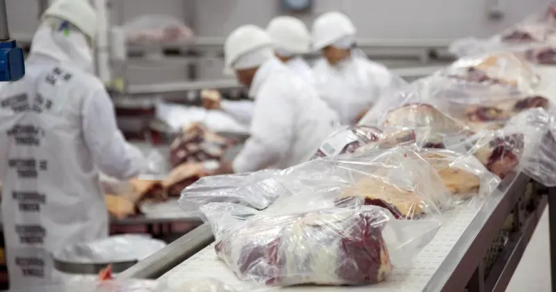 Las 66 empresas adjudicatarias (establecimientos frigoríficos y grupos de productores exportadores) ya pueden conocer el tonelaje asignado para el próximo ciclo.