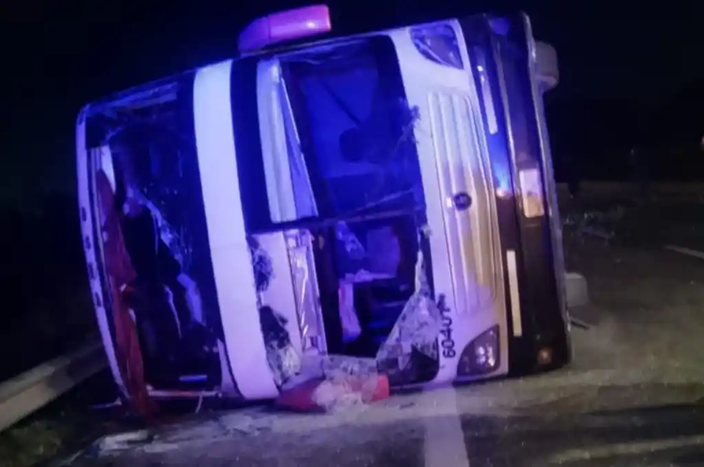 El micro volcó sobre la Ruta 2, sentido a Mar del Plata: viajaban 49 pasajeros a bordo (Foto y video: X @24conurbano).