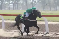 Un Día del Maestro a pura Copa UTTA