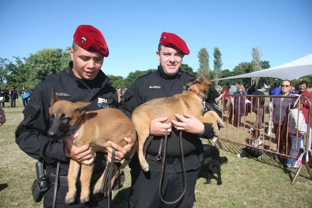 Día del Animal: la URI mostró su trabajo con equinos y canes