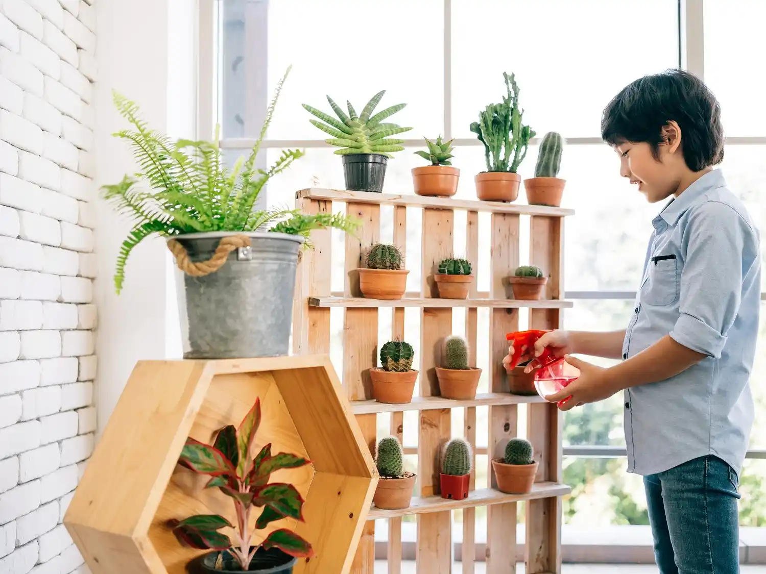 agua con vinagre plantas - 1