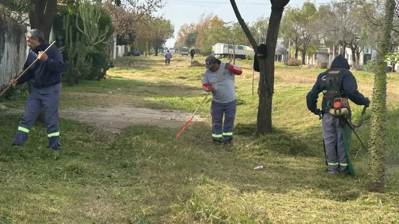 Las cuadrillas municipales realizan múltiples acticvidades.