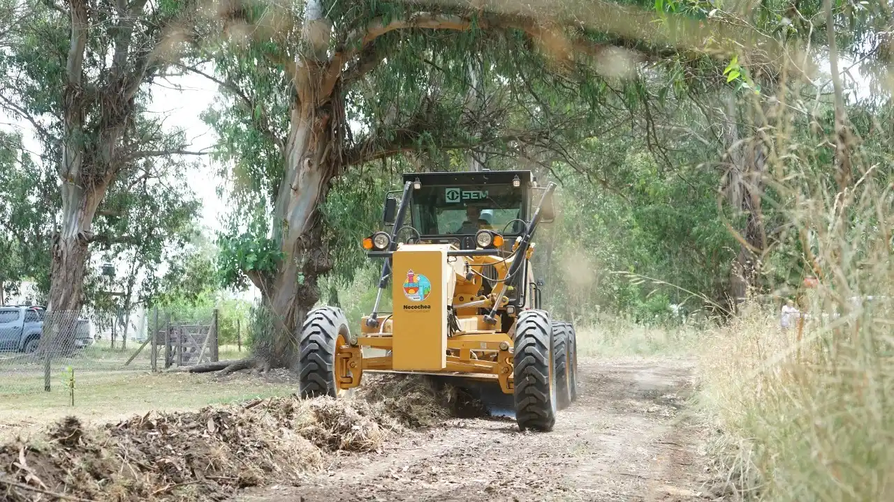 Realizan entoscado en el sector de la playa y mantenimiento en Villa del Deportista y Villa Zabala