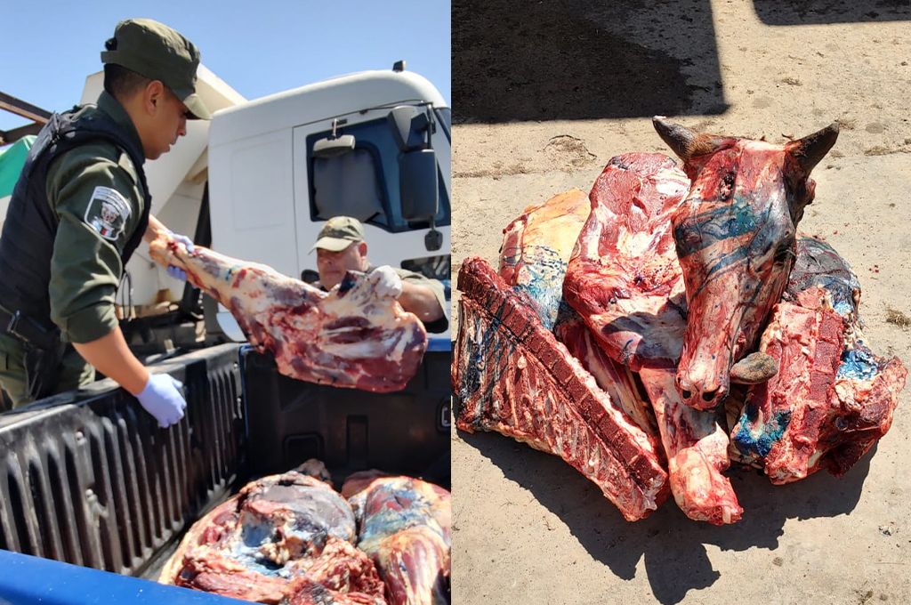 Secuestran 80 kilos de carne de faena clandestina de una carnicería en San Martín de las Escobas
