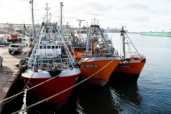 Aseguran que el Puerto está “paralizado” por el reclamo de las vacunas