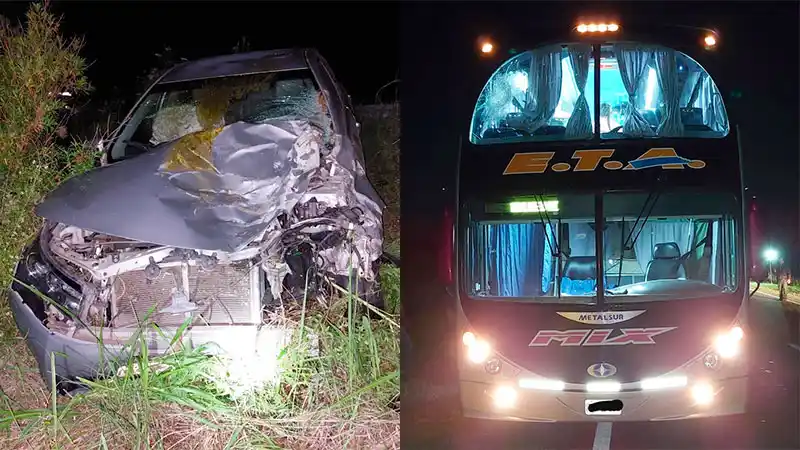 Un auto chocó una vaca en la ruta: el animal dio contra un ómnibus y un hombre debió ser hospitalizado