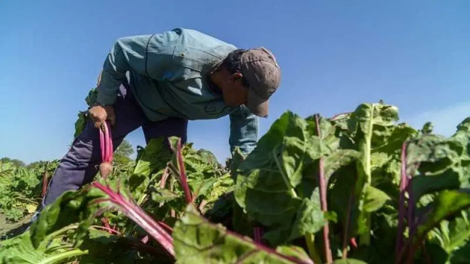 Sector Frutihortícola: "Estamos atravesando una fuerte crisis"