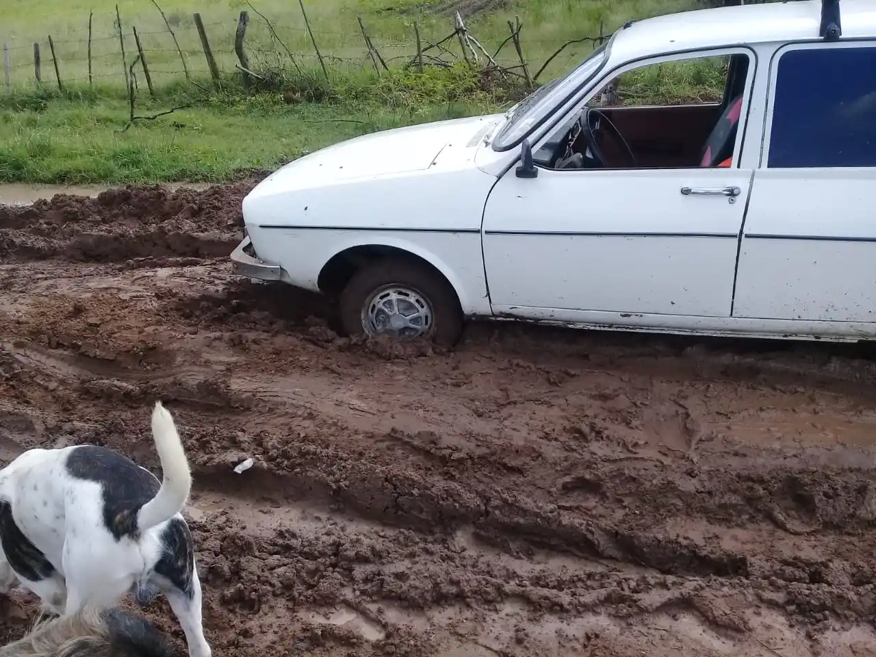 Calle Independencia: “¡Es un peligro!”