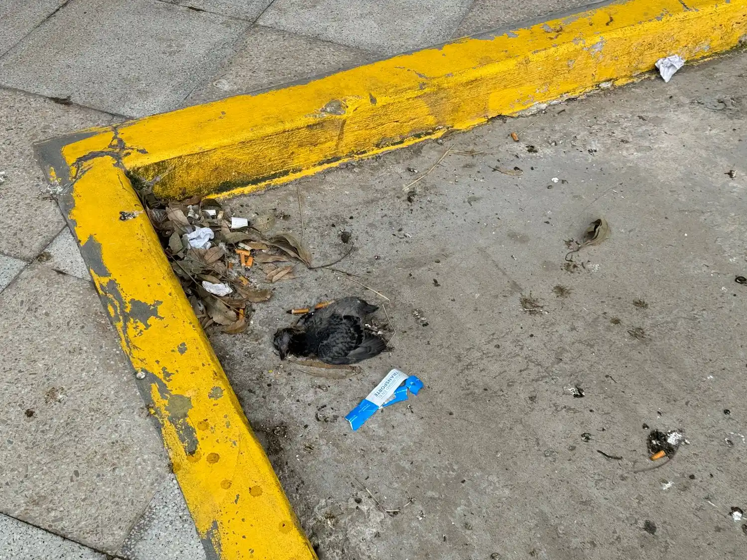 Terminal de ómnibus