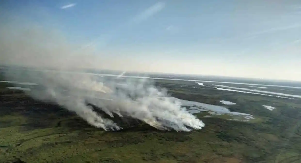 Se continúa el monitoreo en islas del Delta