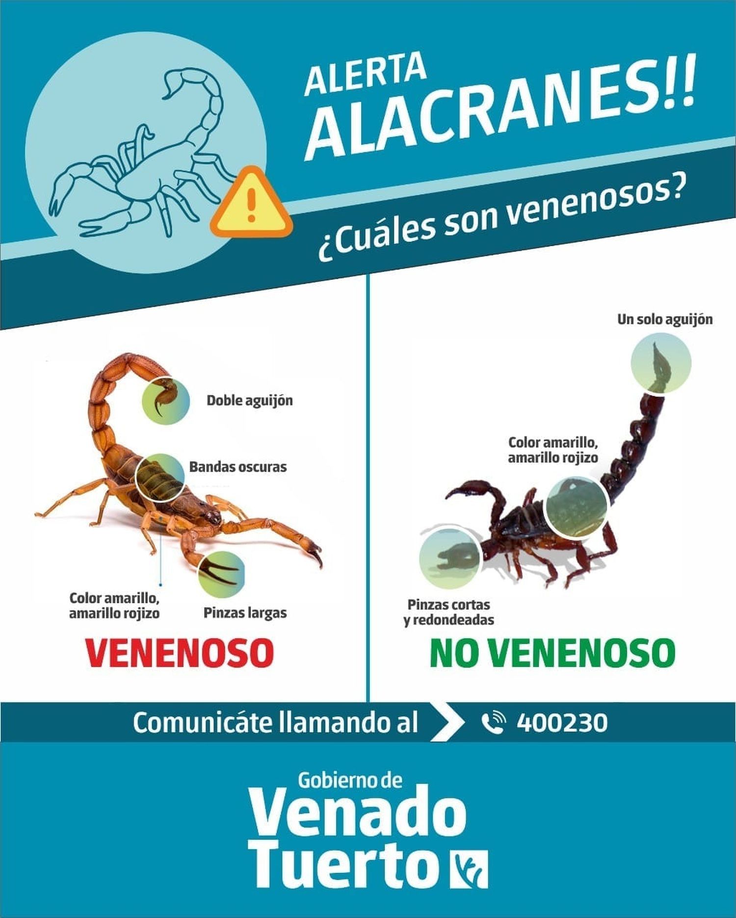 Alacrán