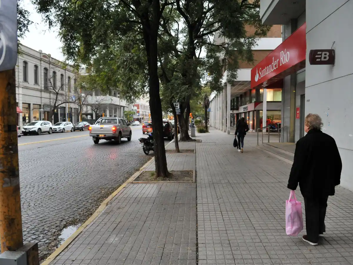 Inhibidores de alarmas: los detenidos cometieron dos robos el mismo día 