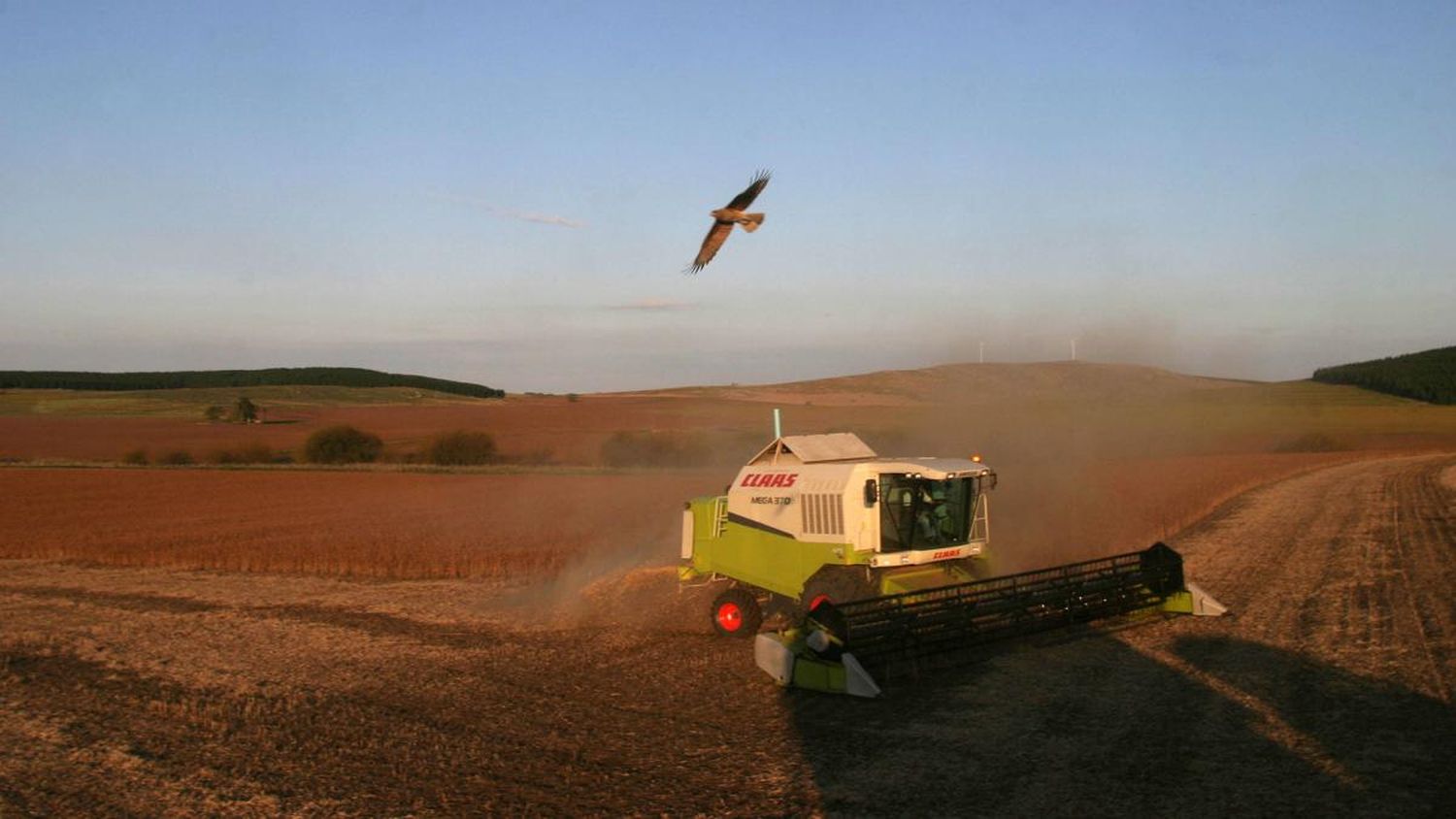 Avanza la siembra de arroz, soja y lino de la campaña 2023/2024