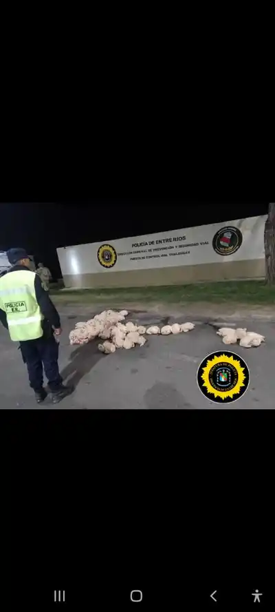 Puesto de Control Vial Gualeguay: procedimiento por infracción a la Ley Provincial de Carnes N° 7292