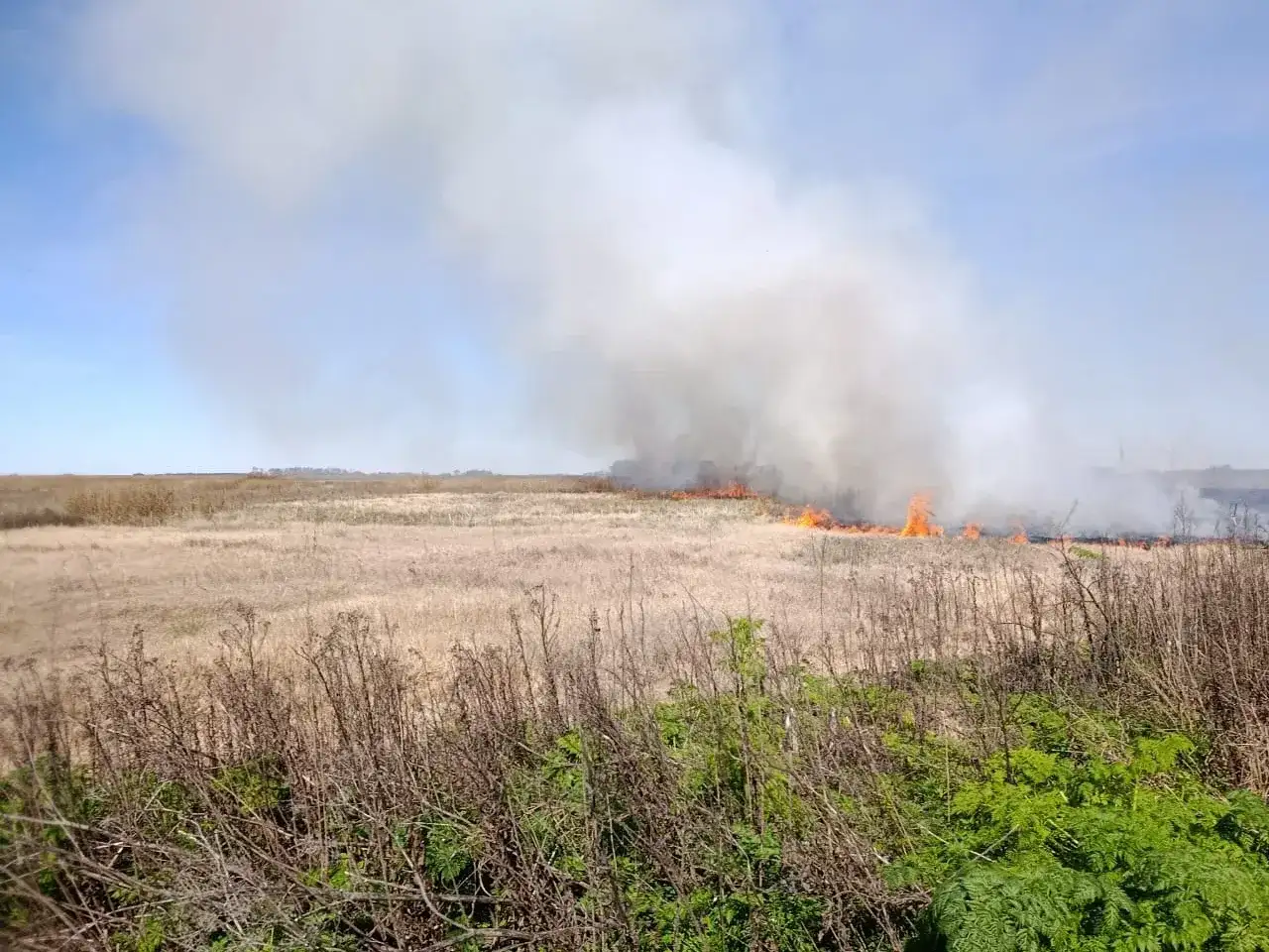 Unos de los focos fue en el kilómetro 639 de la ruta 33. Crédito: Bomberos de Venado Tuerto.