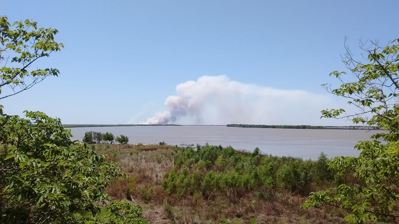 Ecocidio en islas: Manejo del Fuego mantiene a los brigadistas ante la aparición de nuevos focos