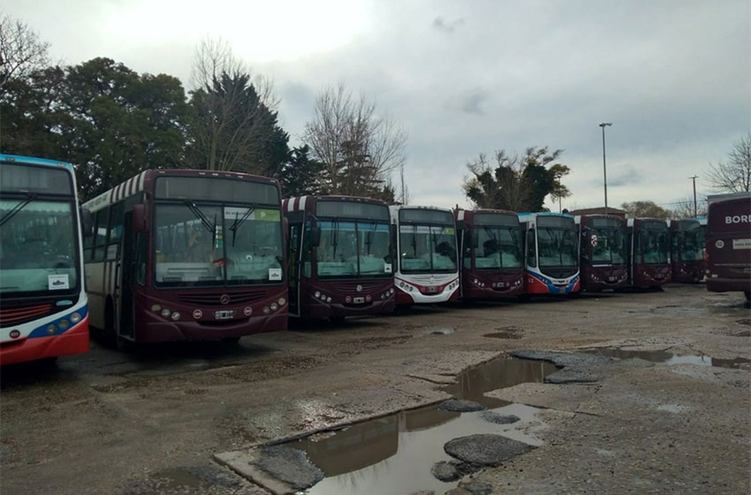 Corredores gastronómicos: modifican recorrido de líneas de colectivos en las calles Belgrano y Córdoba