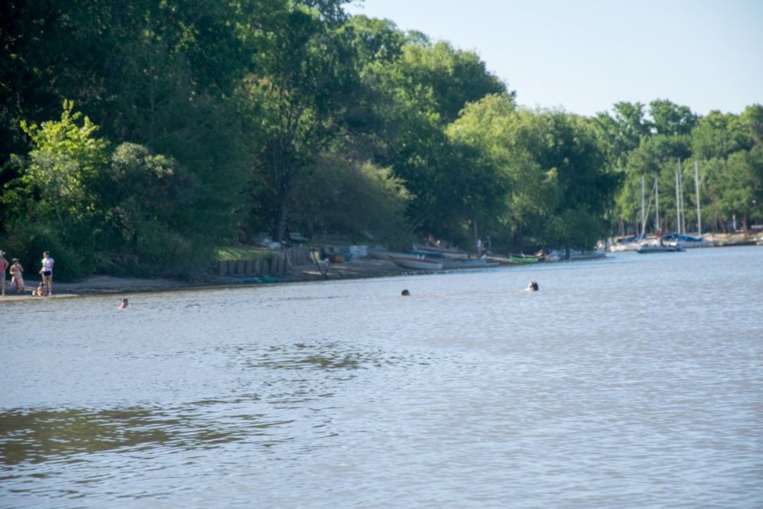 Cruzando el río, entre la Isla Libertad y el Camino de la Costa.