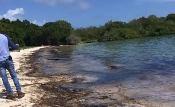 Nuevo derrame de petróleo en El Palito contamina costas falconianas