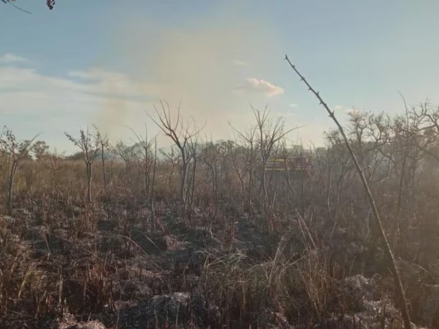 Los brigadistas lograron controlar las llamas a raíz del llamado del propietario de la zona afectada.