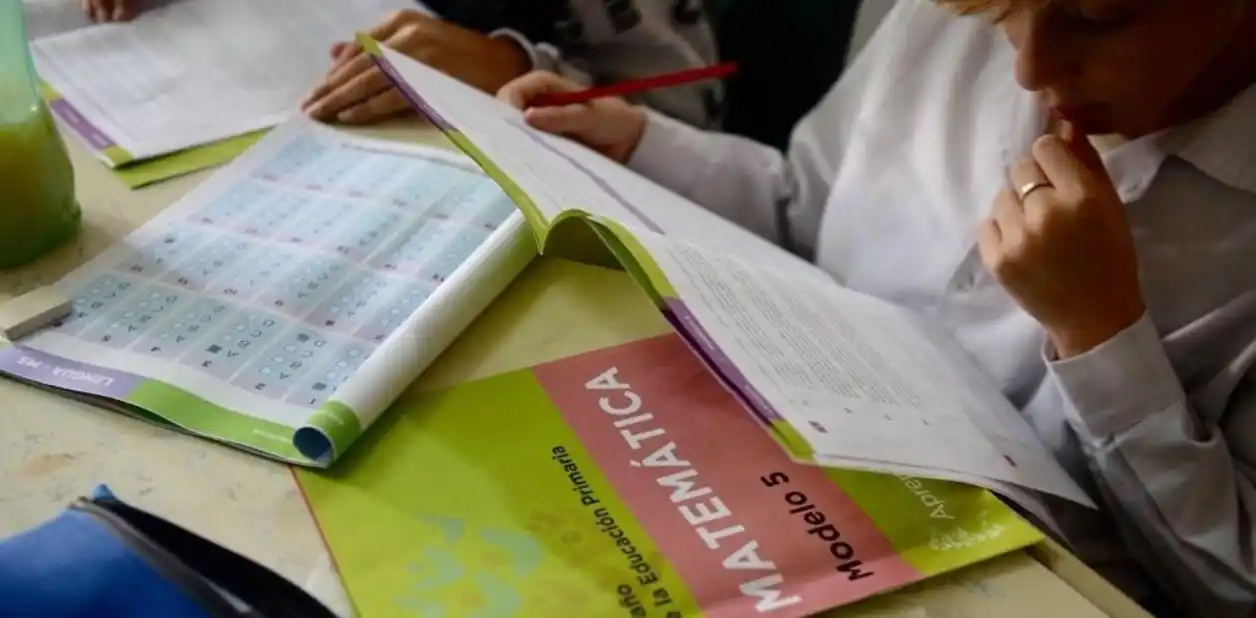 Cómo fueron los resultados de la evaluación Aprender en la Provincia de Buenos Aires