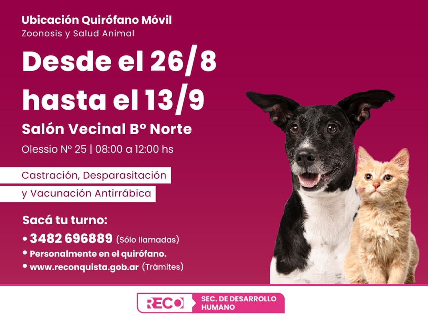 El quirófano móvil de salud animal estará en barrio Norte