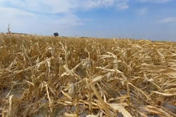 Hasta el 28 de febrero se podrán solicitar los certificados de emergencia agropecuaria