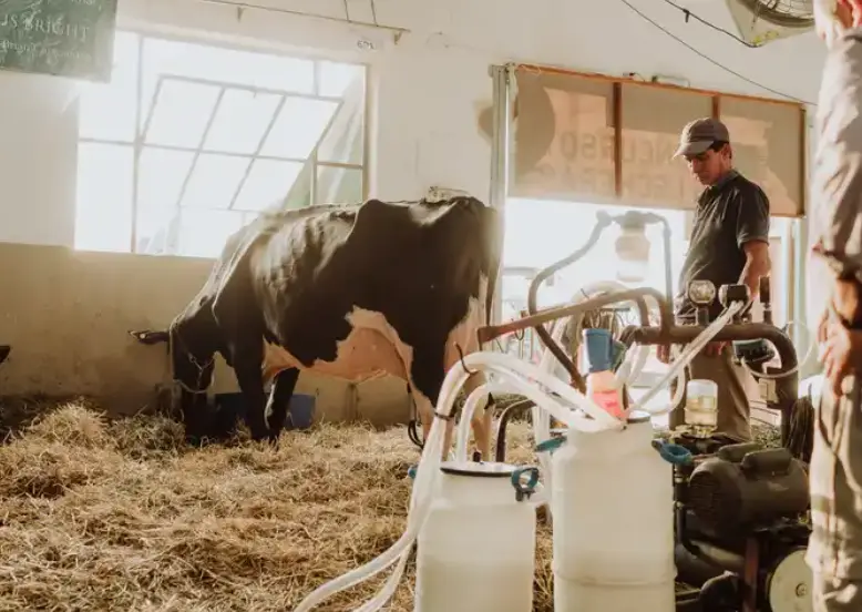104° Concurso de Vacas Lecheras de la Sociedad Rural de Rafaela